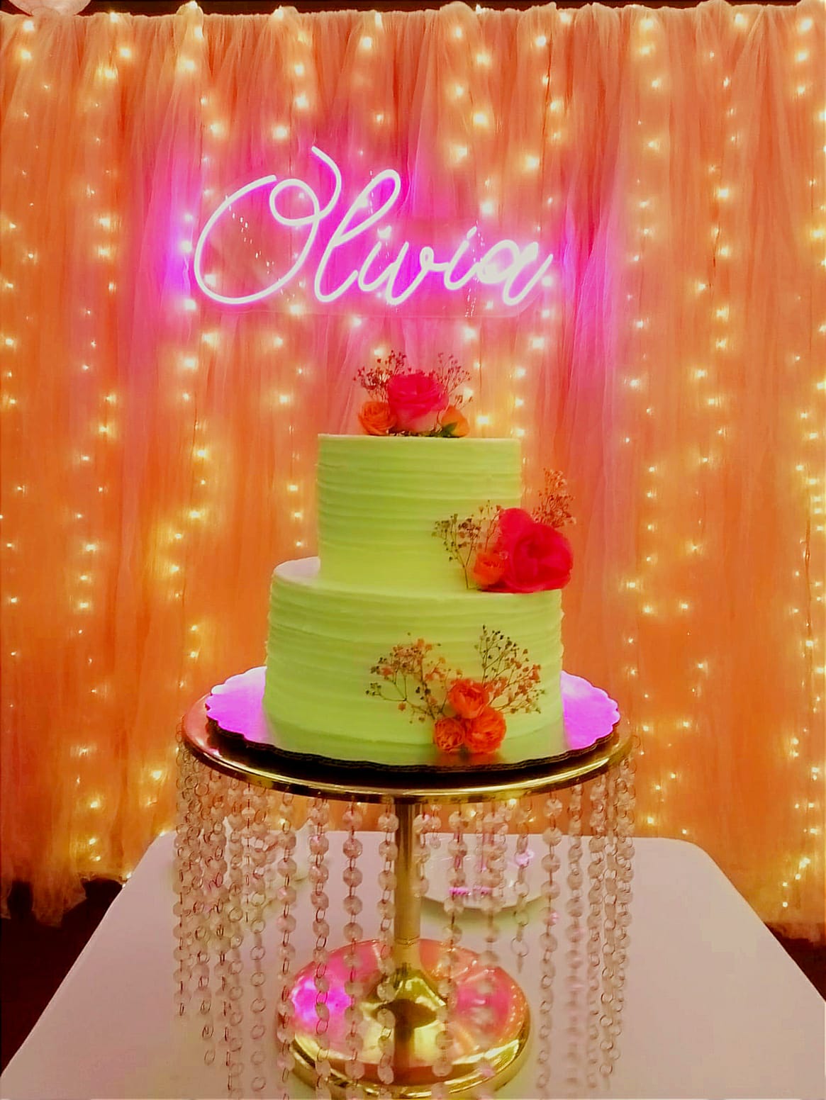 Olivia Neon Cake 